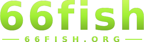 66fish logo